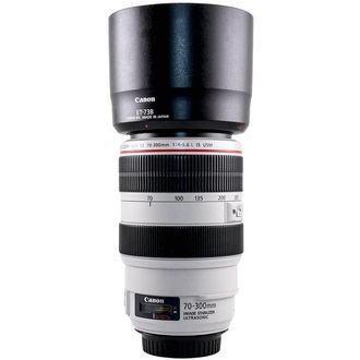 EF-70-300L-IS-USM